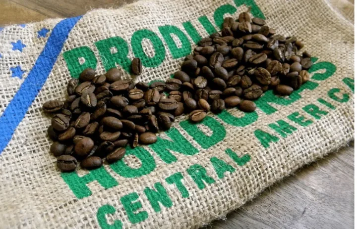 Cafe hondureno gana reconocimiento internacional